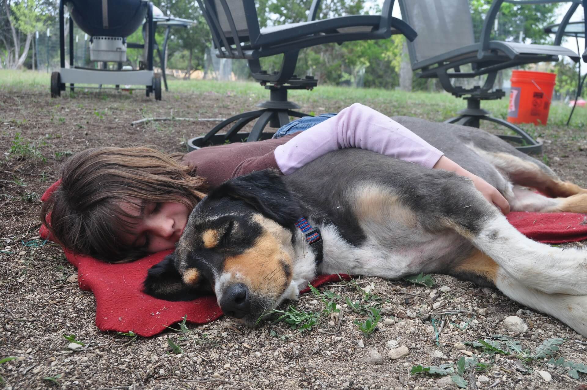 Hund kvinna sover campingplats