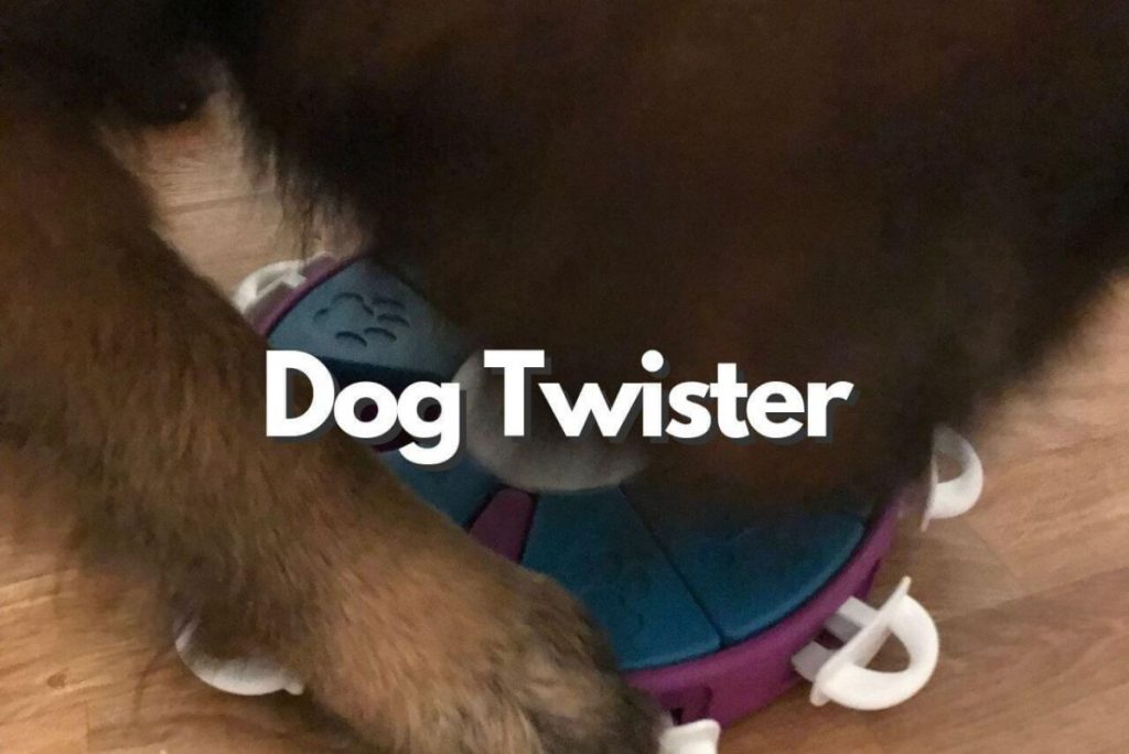 Dog Twister hund