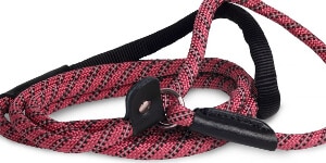 Kennel Equip Leash Active