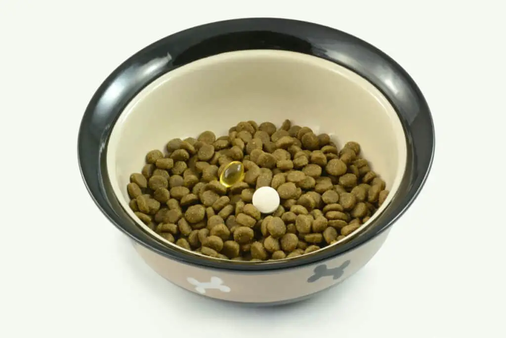 Kosttillskott för hundar i foderskål