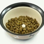 Kosttillskott för hundar i foderskål
