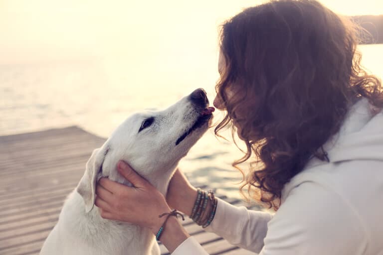 Hundar ger ovillkorlig kärlek