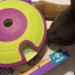 Nina Ottosson Dog Treat Maze recension hund