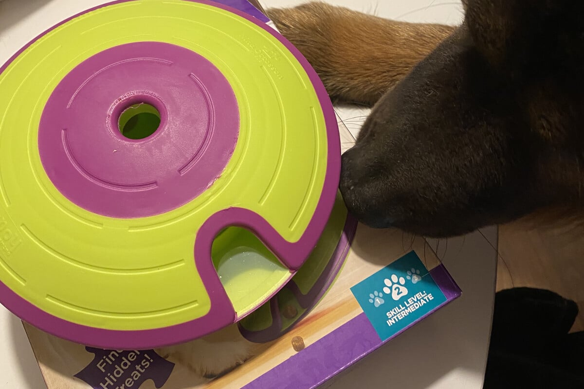 Nina Ottosson Dog Treat Maze recension hund