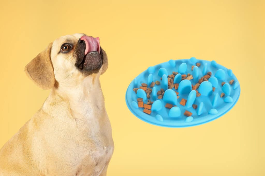 Slow feed-hundmatskål för glupska hundar omslagsbild