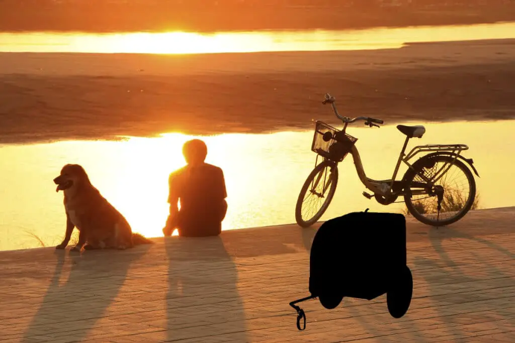 Cykelvagn hund omslagsbild