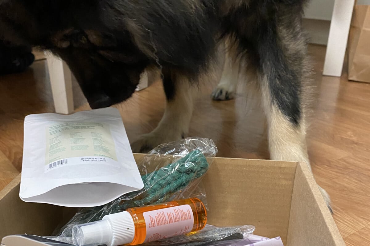 Doggybox recension omslagsbild