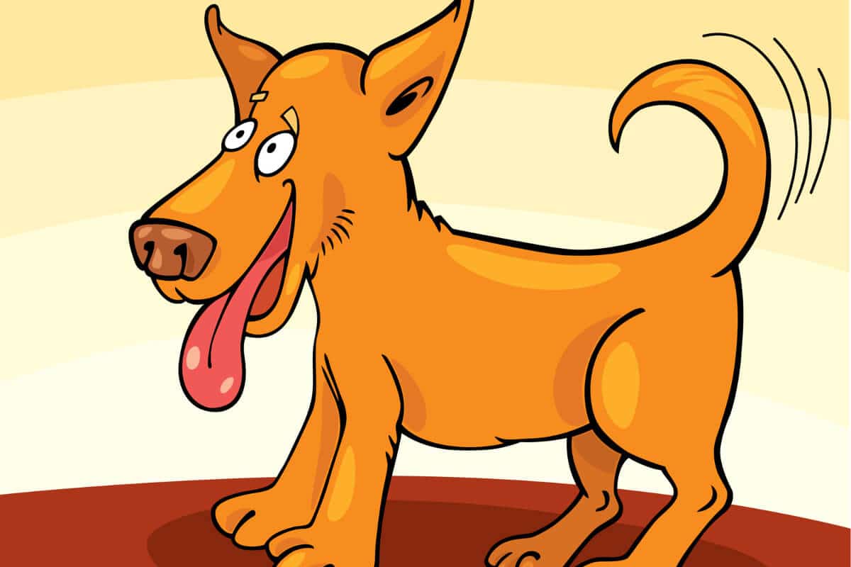 Hund viftar på svansen omslagsbild