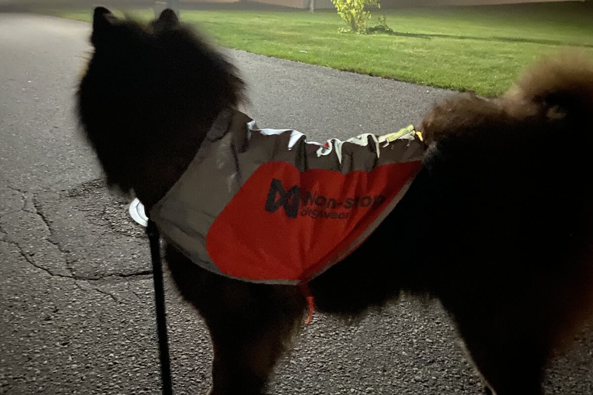 Non-stop dogwear Reflection Blanket reflexväst i mörker
