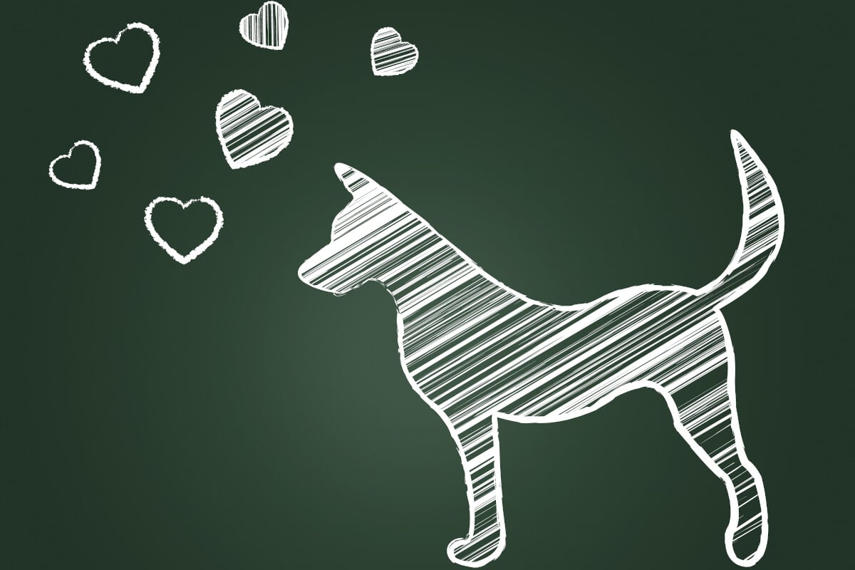 Charmiga hundnamn omslagsbild
