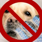 Hund som fäller förbudsskylt