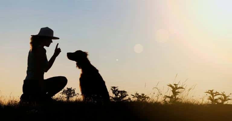 Siluett med en kvinna som tränar sin hund och lär den nya saker