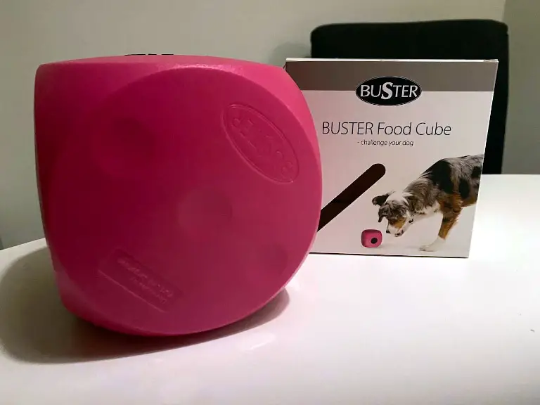 Buster Food Cube hundleksak