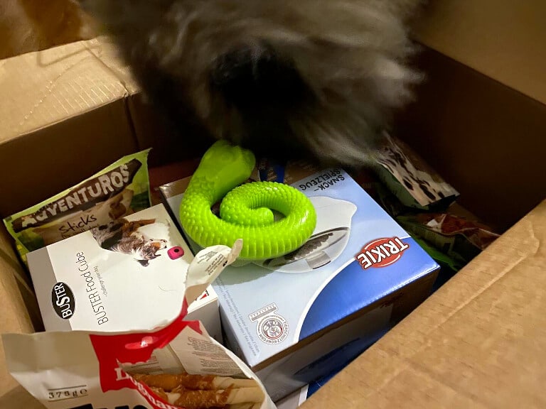 Hund som inspekterar en hemleverans av hundfoder och leksaker
