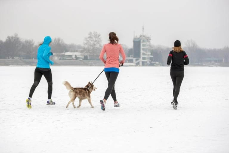 Tre kvinnor med en hund som ägnar sig åt lugn löpning i snö