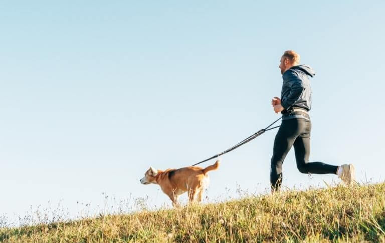 Manlig löpare som använder ett midjebälte under löpturen med sin hund