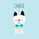 Hundnamn hane Charlie
