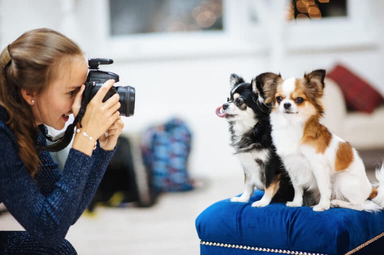 Kvinna som fotograferar två mindre hundar med en kamera med extern blixt