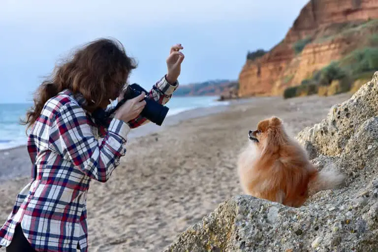 Kvinna som är kreativ när hon plåtar sin hund på stranden
