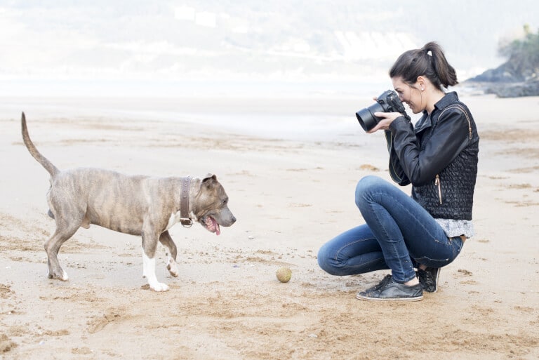 Fotograf som är medveten om bakgrunden när hon ska fotografera hundar