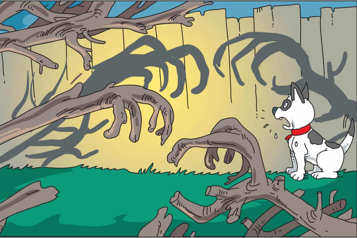 Illustration av spökåldern hos hund