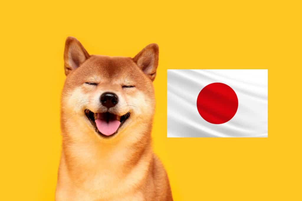 Shiba – en av 10 hundraser från Japan