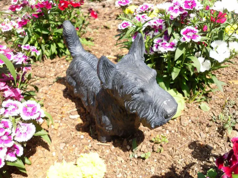 Staty som föreställer en skotsk terrier